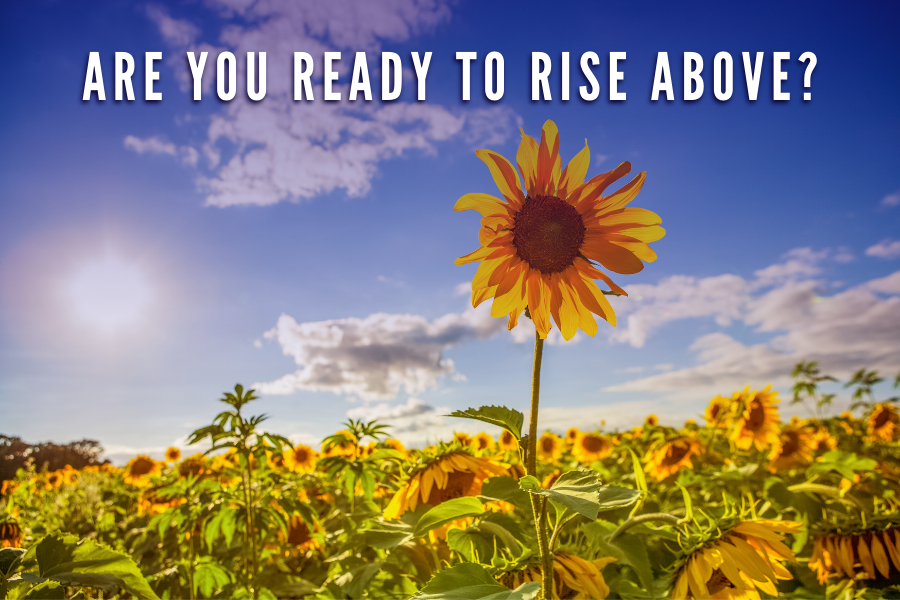 Are you ready to rise above - Judy Rickey - Blog - clutter Relief Services
